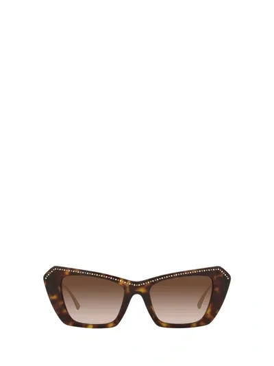 Valentino Va4114 Havana Sunglasses