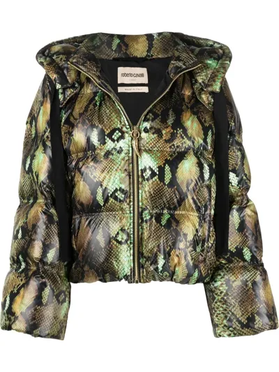 Roberto Cavalli Snakeskin-print Padded Jacket In Green