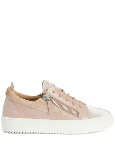 Giuseppe Zanotti Gail Velvet Low-top Sneakers In Pink