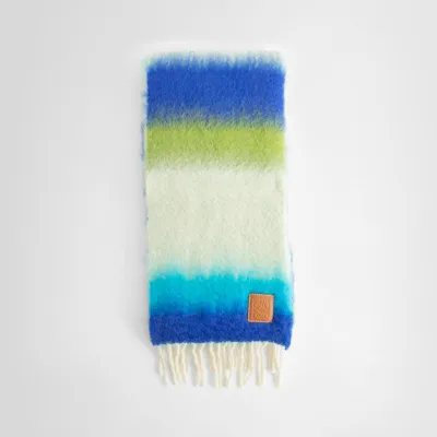 Loewe Logo-appliquéd Fringed Striped Mohair-blend Scarf In Multicolor