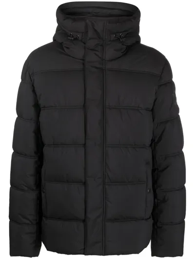 Zadig & Voltaire Padded Hooded Jacket In Schwarz