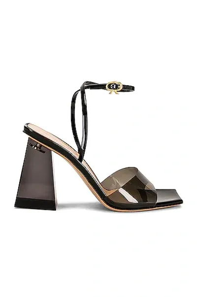 Gianvito Rossi G32208 Glass & Vernice In Fume & Black