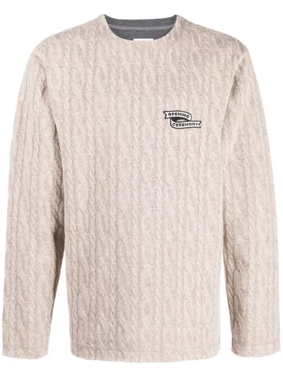 Opening Ceremony Embroidered-logo Cable-knit Jumper In Nude