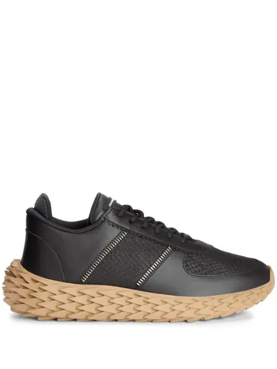 Giuseppe Zanotti Urchin Low-top Sneakers In 黑色