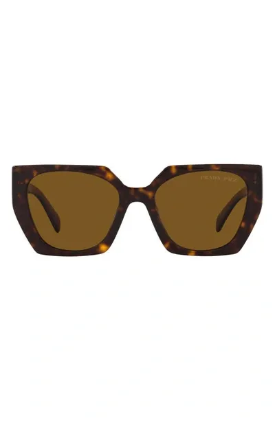 Prada 54mm Polarized Irregular Sunglasses In Tortoise_dark_brown_polar