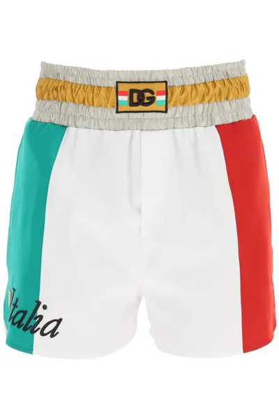 Dolce & Gabbana Italian Flag Printed Shorts In Multicolor