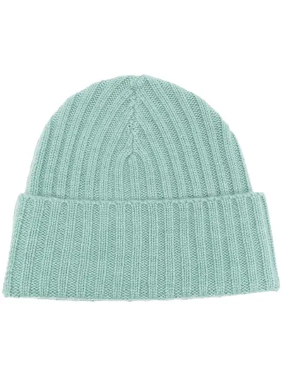 Warm-me Ribbed-knit Design Beanie In Green