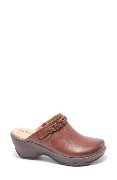 Halsa Footwear Chloe Clog In Dark Brown