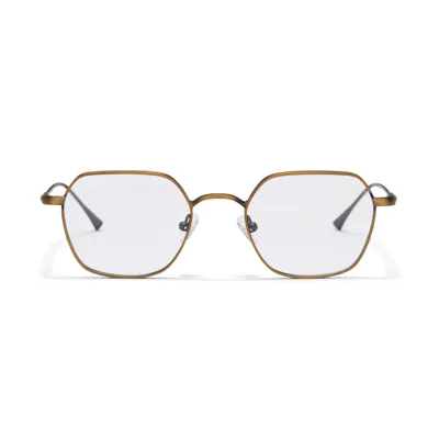 Taylor Morris Eyewear Kew Glasses In Brown