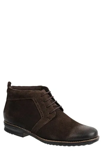 Sandro Moscoloni Vandick Chukka Boot In Brown