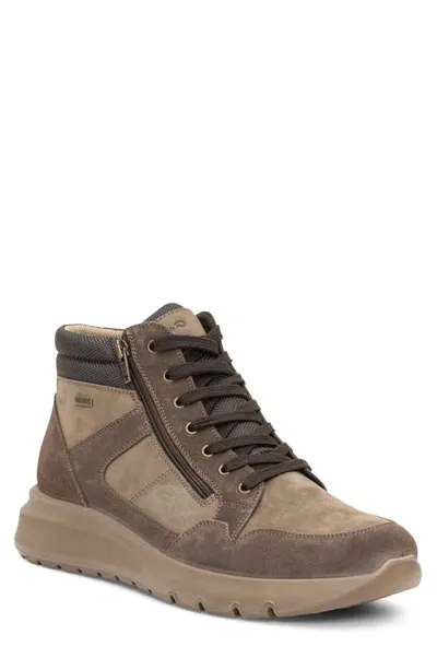 Ara Adams Waterproof High Top Sneaker In Brown