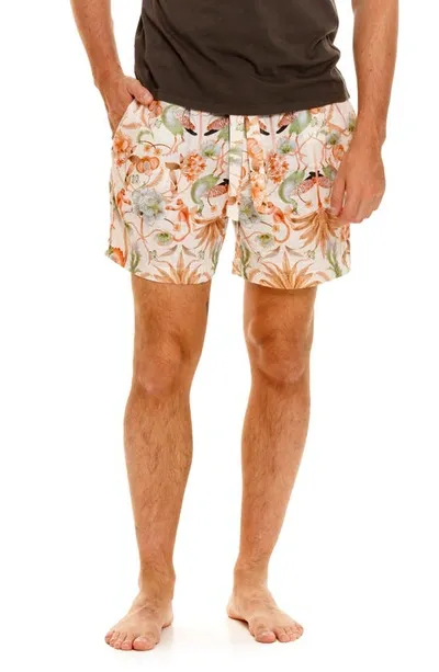 The Lazy Poet Ben Peach Jungle Pajama Shorts In Pink