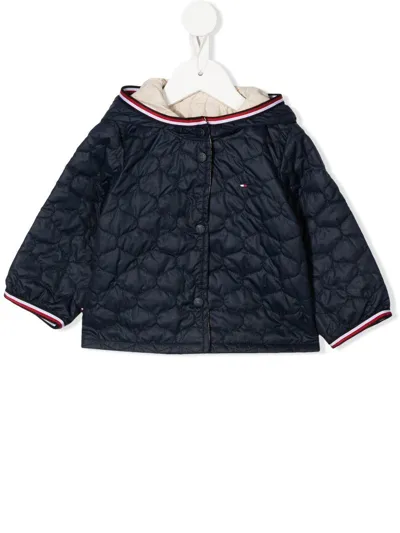 Tommy Hilfiger Junior Babies' Blue And Beige Reversible Jacket