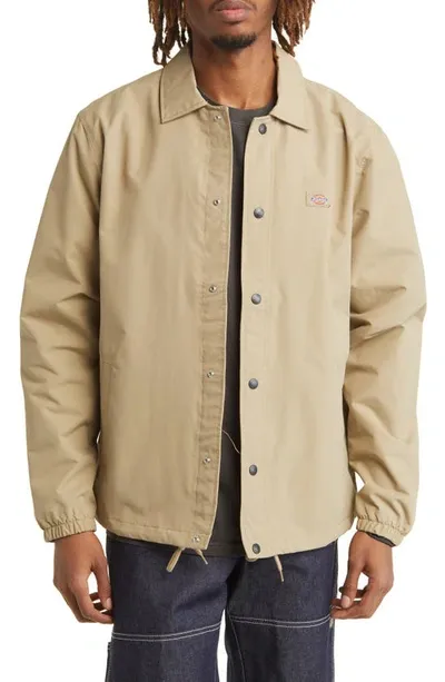 Dickies Jacket In Khaki