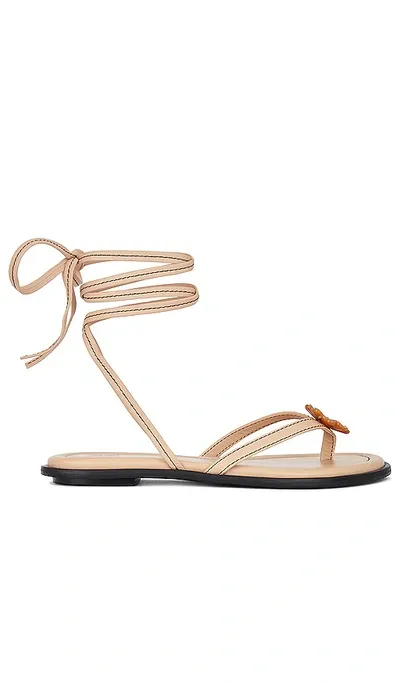 Helsa Lace Up Sandal In Nude