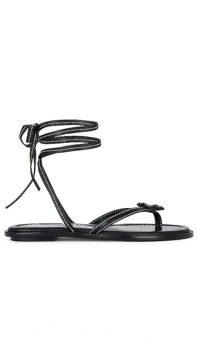 Helsa Lace Up Sandal In Black