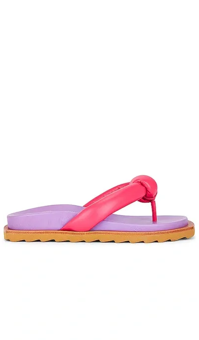 Intentionally Blank Goody Flip Flop In Fuchsia