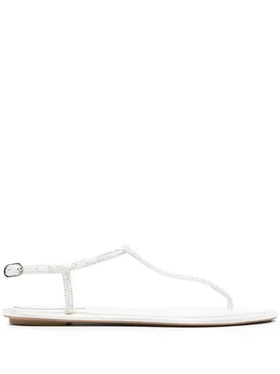 René Caovilla Rhinestone Embellished Thong Sandals In Grey