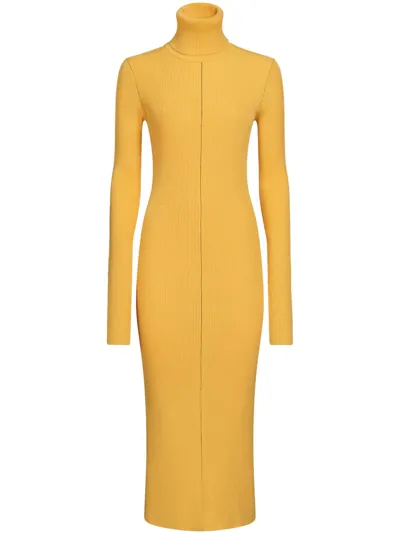 Marni High-neck Ribbed-knit Midi Dress In Maize