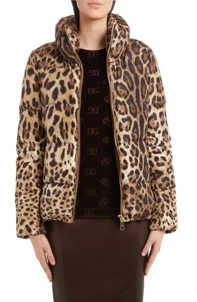 Dolce & Gabbana Leopard-print Padded Jacket In Multicolor