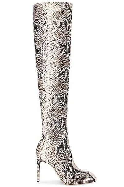 Gianvito Rossi Borneo Boots In Rock