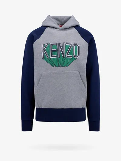 Kenzo Sweatshirt In Grey