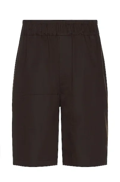 Siedres Shorts In Brown