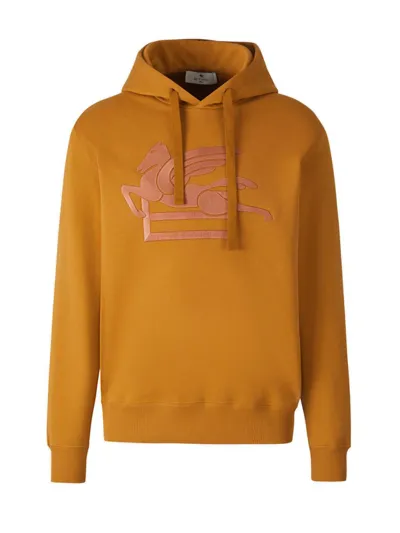 Etro Logo Embroidered Drawstring Hoodie In Brown