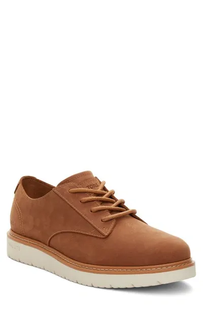 Toms Navi Derby In Brown