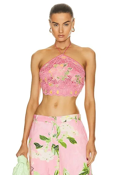 Hemant & Nandita Crop Top In Pink