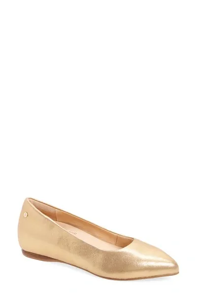 Frankie4 Poppy Pointed Toe Flat In Gold Starry