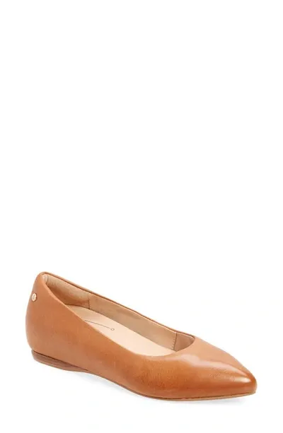 Frankie4 Poppy Pointed Toe Flat In Tan