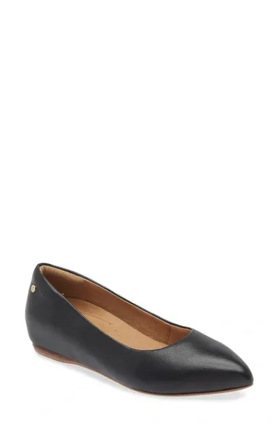 Frankie4 Poppy Pointed Toe Flat In Black