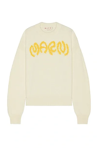 Marni Sweater In Ivory,yellow