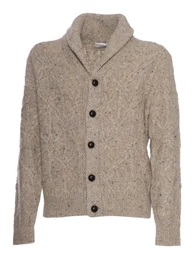 Ballantyne Buttoned Cardigan In Beige