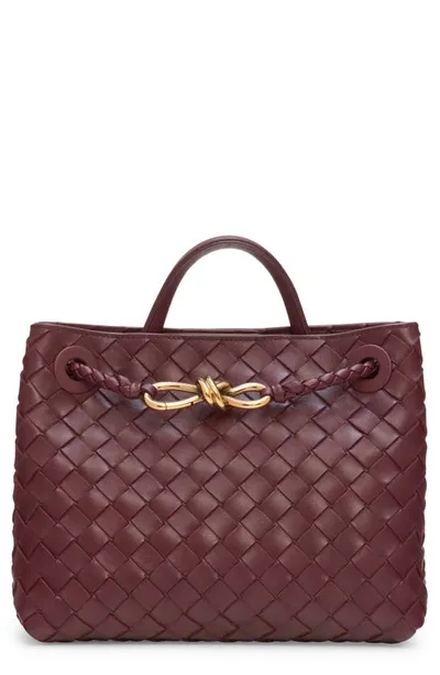 Bottega Veneta Andiamo Small Intrecciato Tote Bag In Barolo