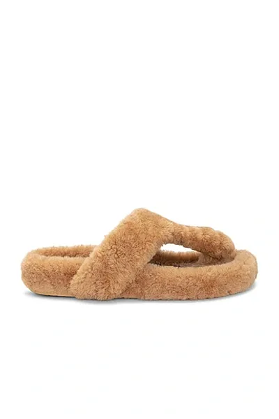 Loewe Ease Shearling Thong Sandals In Multicolor