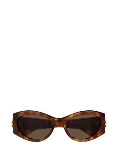 Gucci Eyewear Cat In Brown