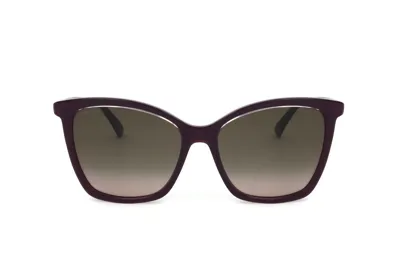 Jimmy Choo Eyewear Cat In Brown