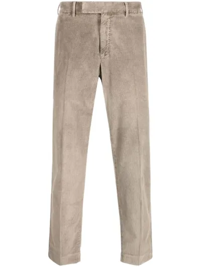 Pt01 Rebel Stretch Velvet Trousers In Grey