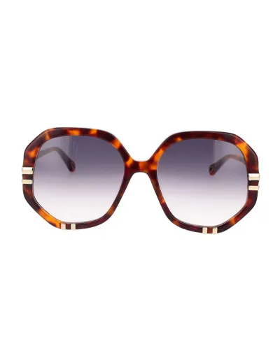 Chloé Eyewear Square Frame Sunglasses In Multi