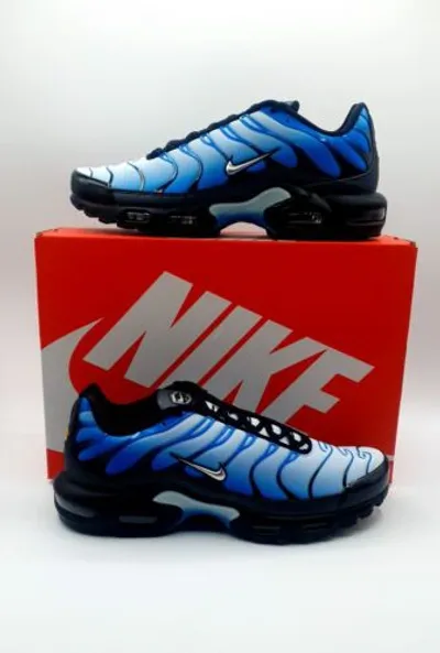 Pre-owned Nike Air Max Plus Tn Gardient Blue Gr.44,5