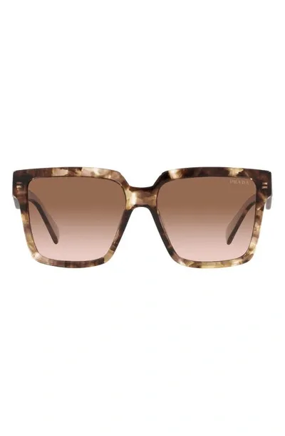 Prada 56mm Square Sunglasses In Caramel Tortoise