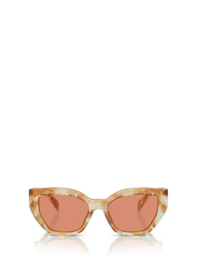 Prada Eyewear Cat In Multi