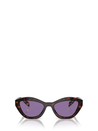 Prada Eyewear Cat In Multi