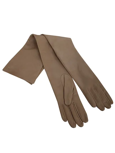 Max Mara Amica Long Gloves Accessories In White