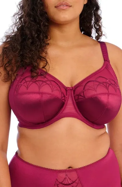 Elomi 'cate' Underwire Bra In Berry