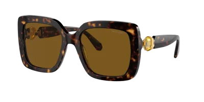 Swarovski Sk6001 Havana Sunglasses In Polarized Brown