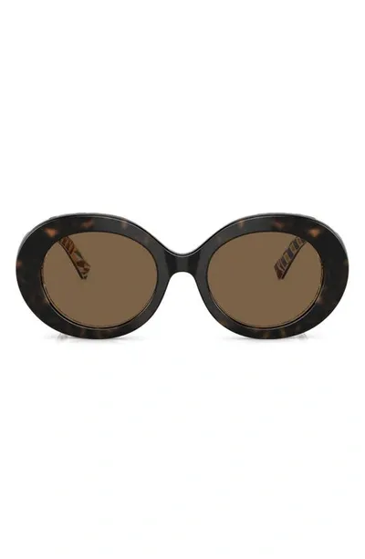 Dolce & Gabbana Dolce&gabbana 51mm Oval Sunglasses In Brown/brown Solid