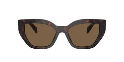 Prada Cat-eye-sonnenbrille In Schildpattoptik In Dark Brown Polarized